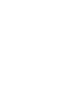 SC white logo mark